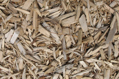 biomass boilers Muchelney Ham